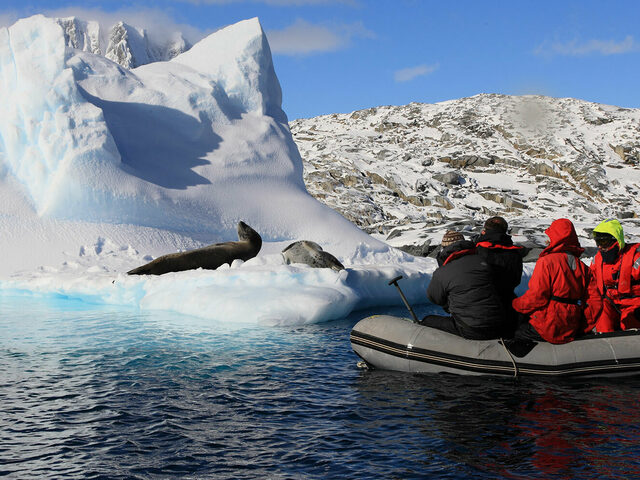 Exploration cruise Seals
